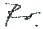 ro-logo.GIF (2130 bytes)